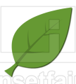 Single green leaf logo with drop shadow