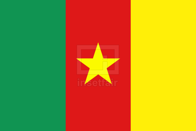 Cameroon Flag Photos and Images