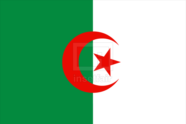Algerian Flag vector drawing