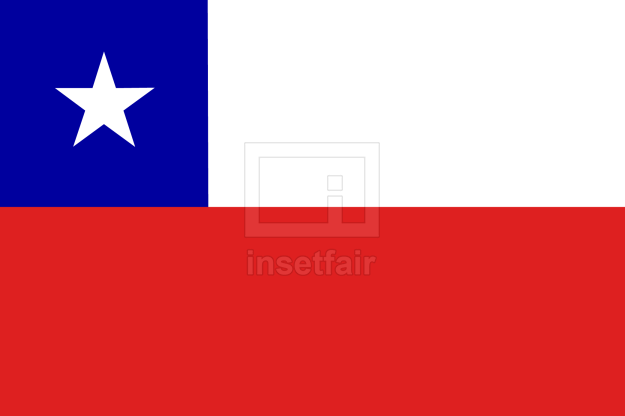 Chile Flag Photos and Images