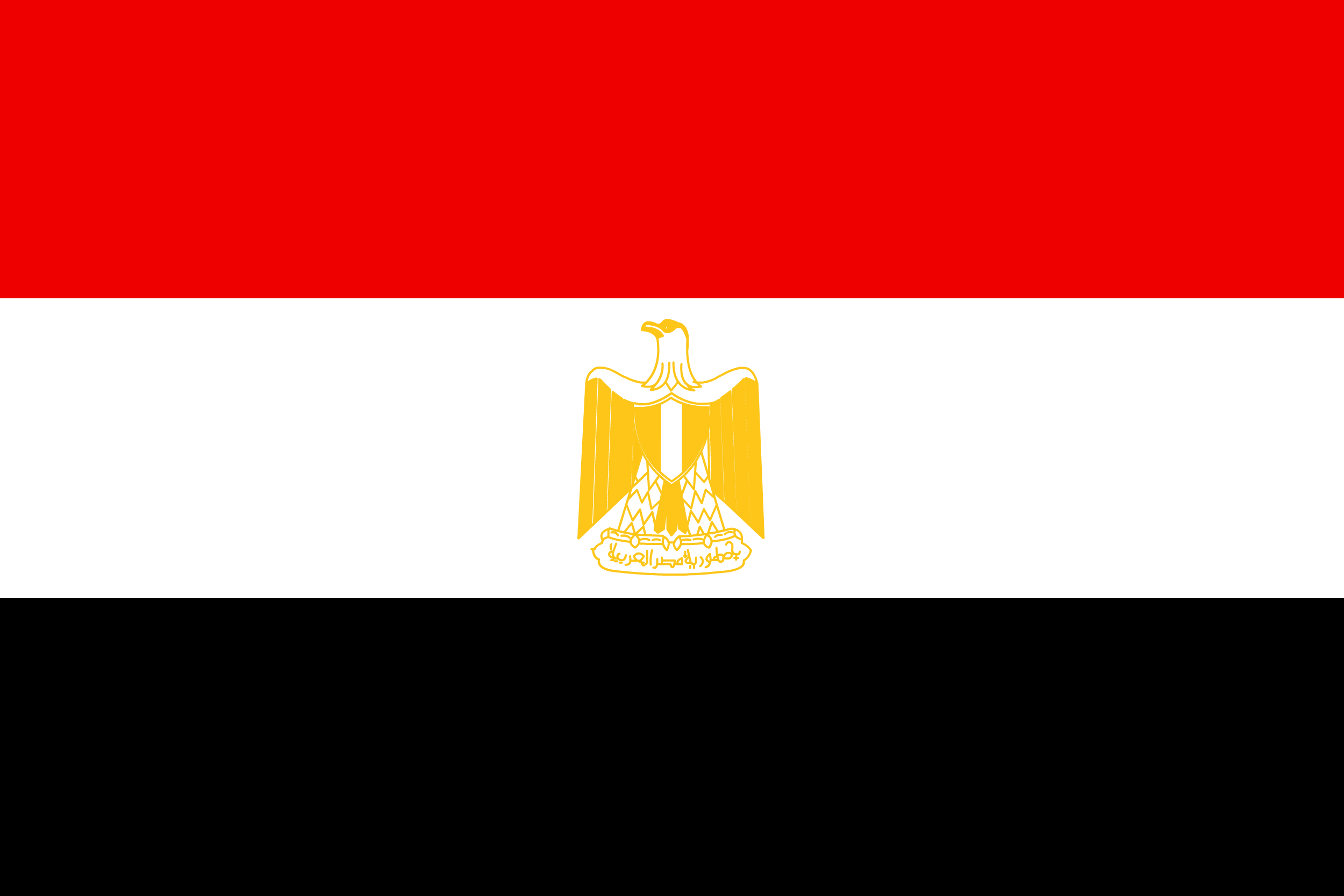 Egypt Flag Photos and Images