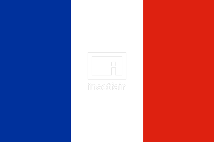 French Guiana Flag png Photos and Images