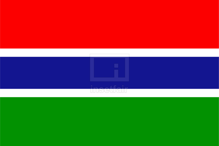 Gambia Flag Photos and Images