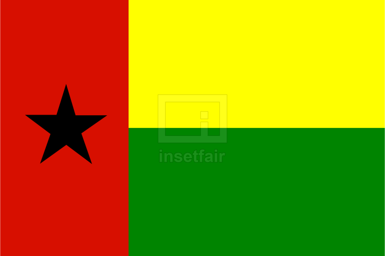 Guinea-Bissau Flag Photos and Images