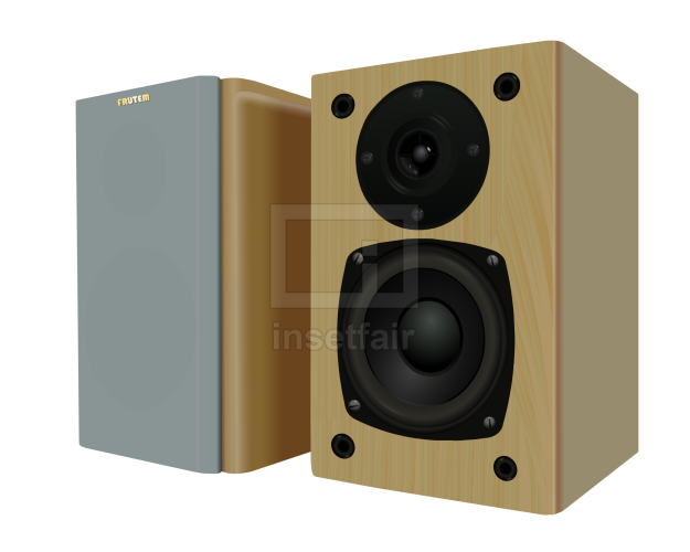 Classic wooden stereo speaker box or book shelf speakers