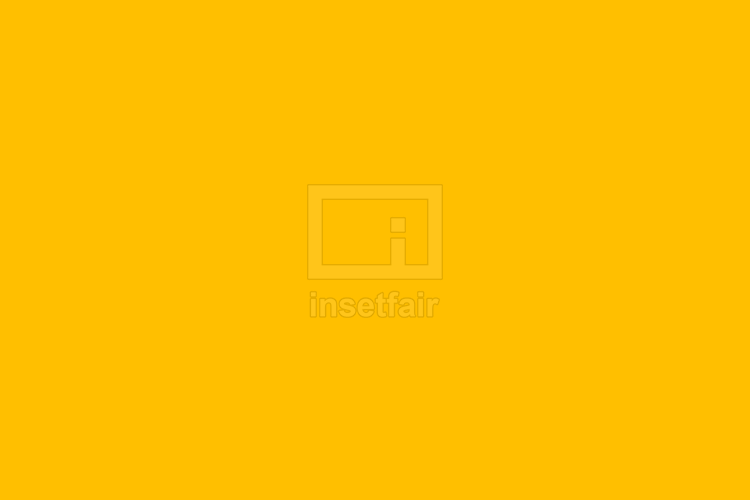 Amber solid color background - Free download stock images