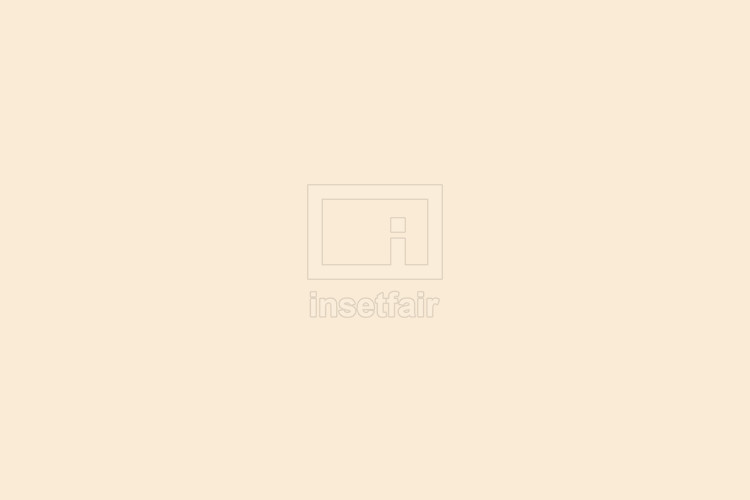 Antique white solid color background - Free download stock images